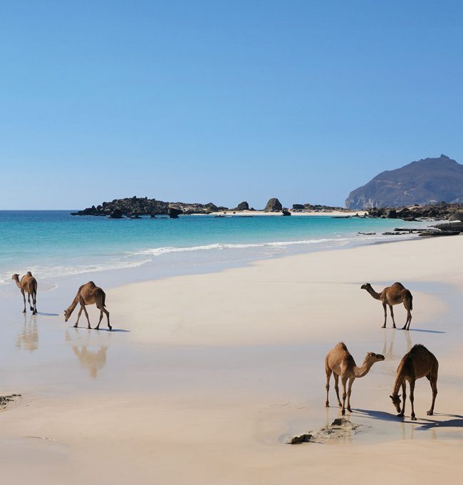 OMAN IN VENICE ART BIENNALE