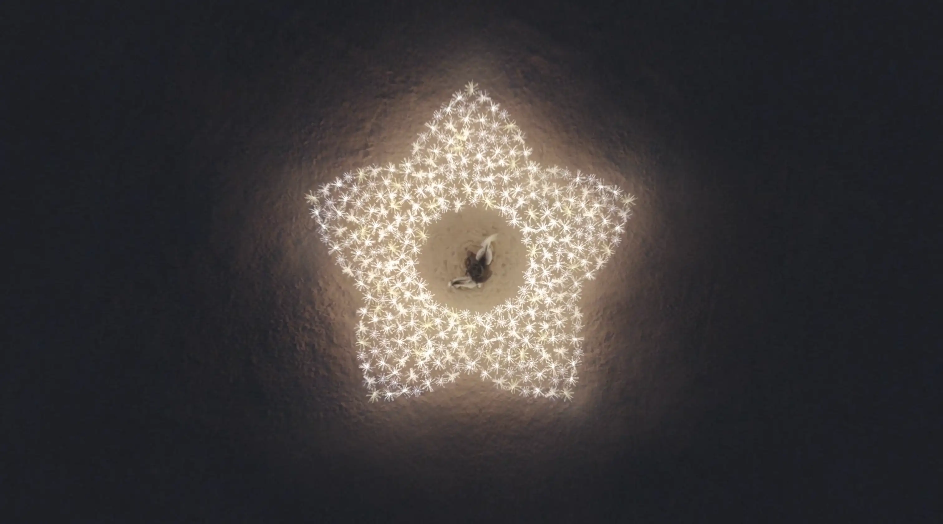 Jannah: A Five-Petal Story
