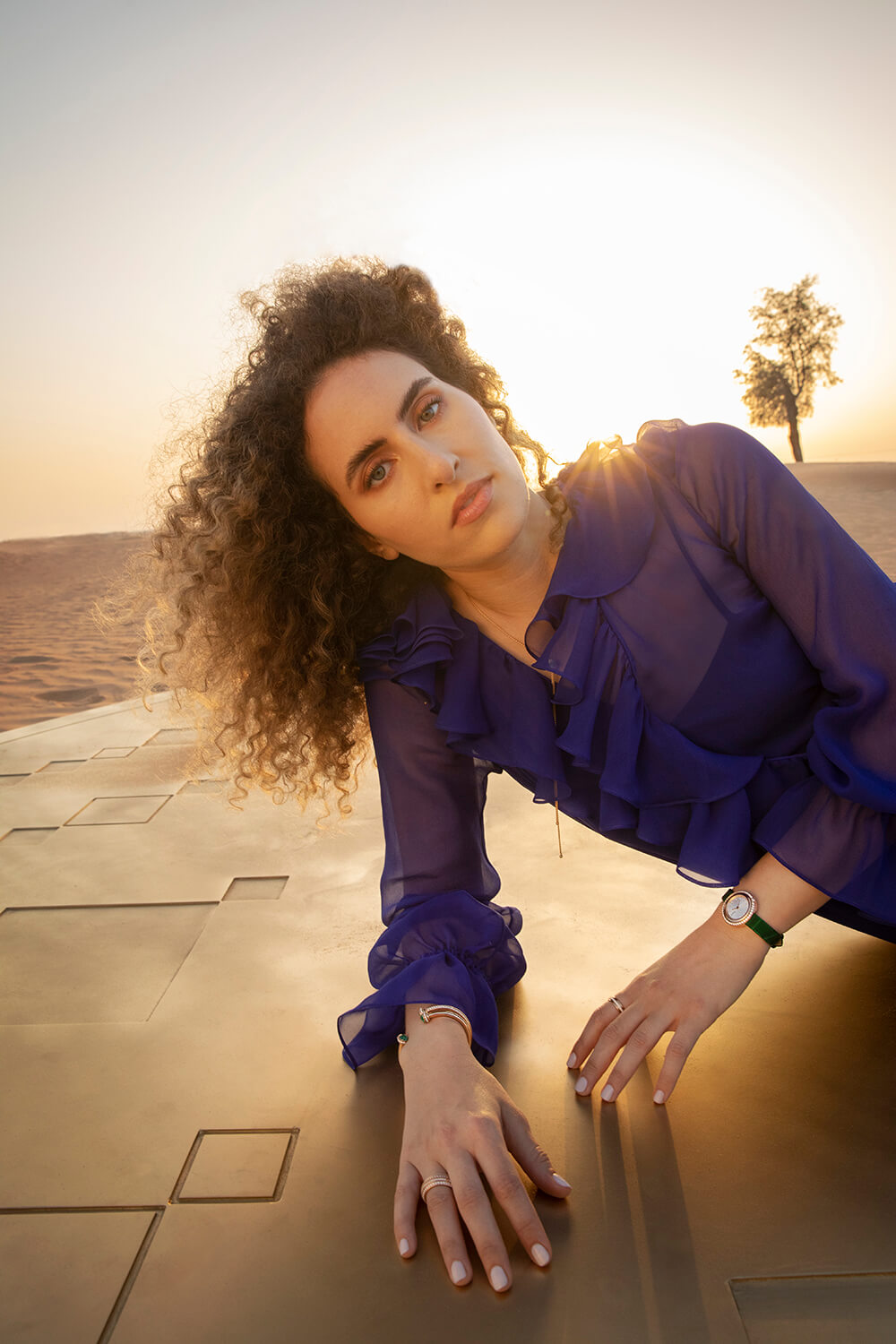 marketing case study for Piaget jewellery brand