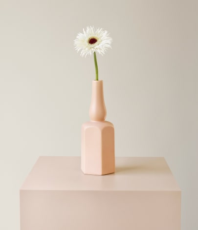 Photograph of daisy in vase for ecommerce store