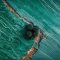 MALACHITE web Green water texture with a swimmer from above